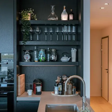 公寓 Luxurious 3 Bedroom At The Sea 奥斯滕德